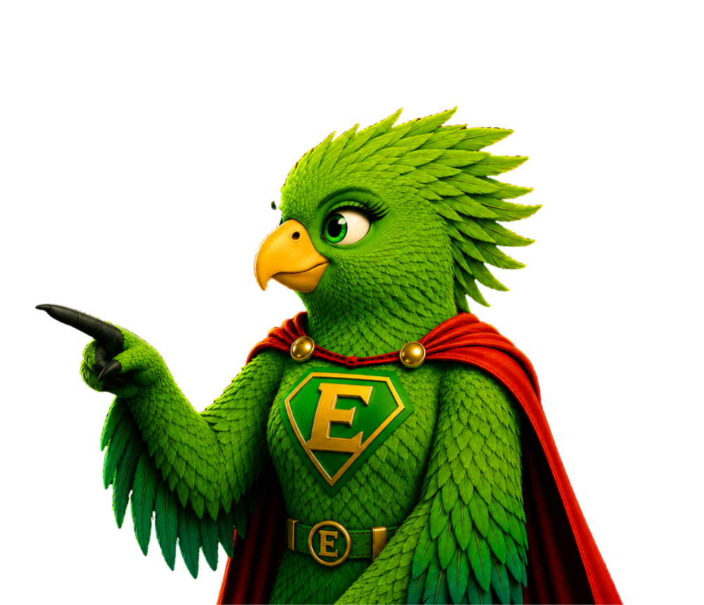 projektowanie logo strony internetowe Suwałki